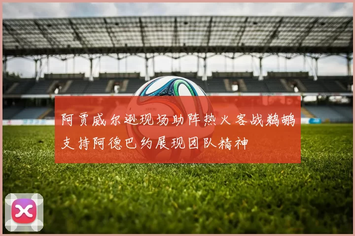 阿贾威尔逊现场助阵热火客战鹈鹕支持阿德巴约展现团队精神